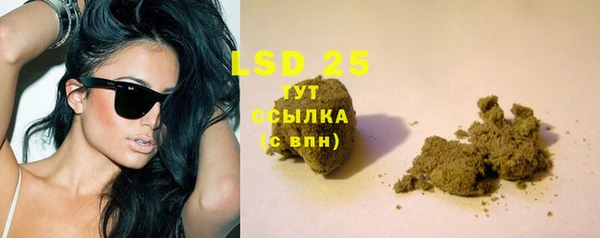 спайс Гусь-Хрустальный
