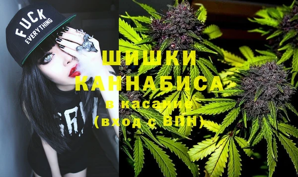 спайс Гусь-Хрустальный