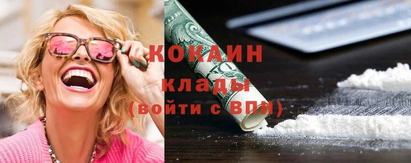 спайс Гусь-Хрустальный