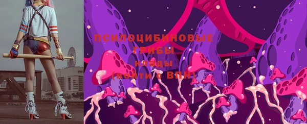 прущие крисы Гусиноозёрск