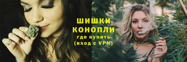 2c-b Гусев