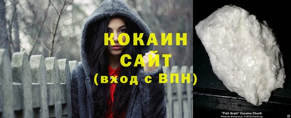 2c-b Гусев